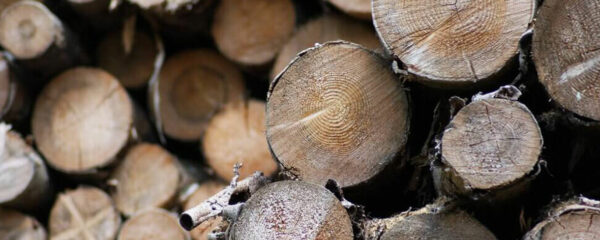 Trouver du bois de chauffage pour cet hiver