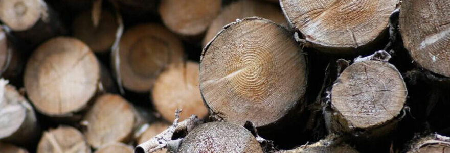 Trouver du bois de chauffage pour cet hiver